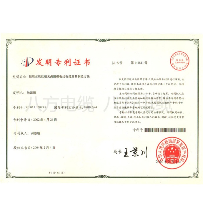 专利